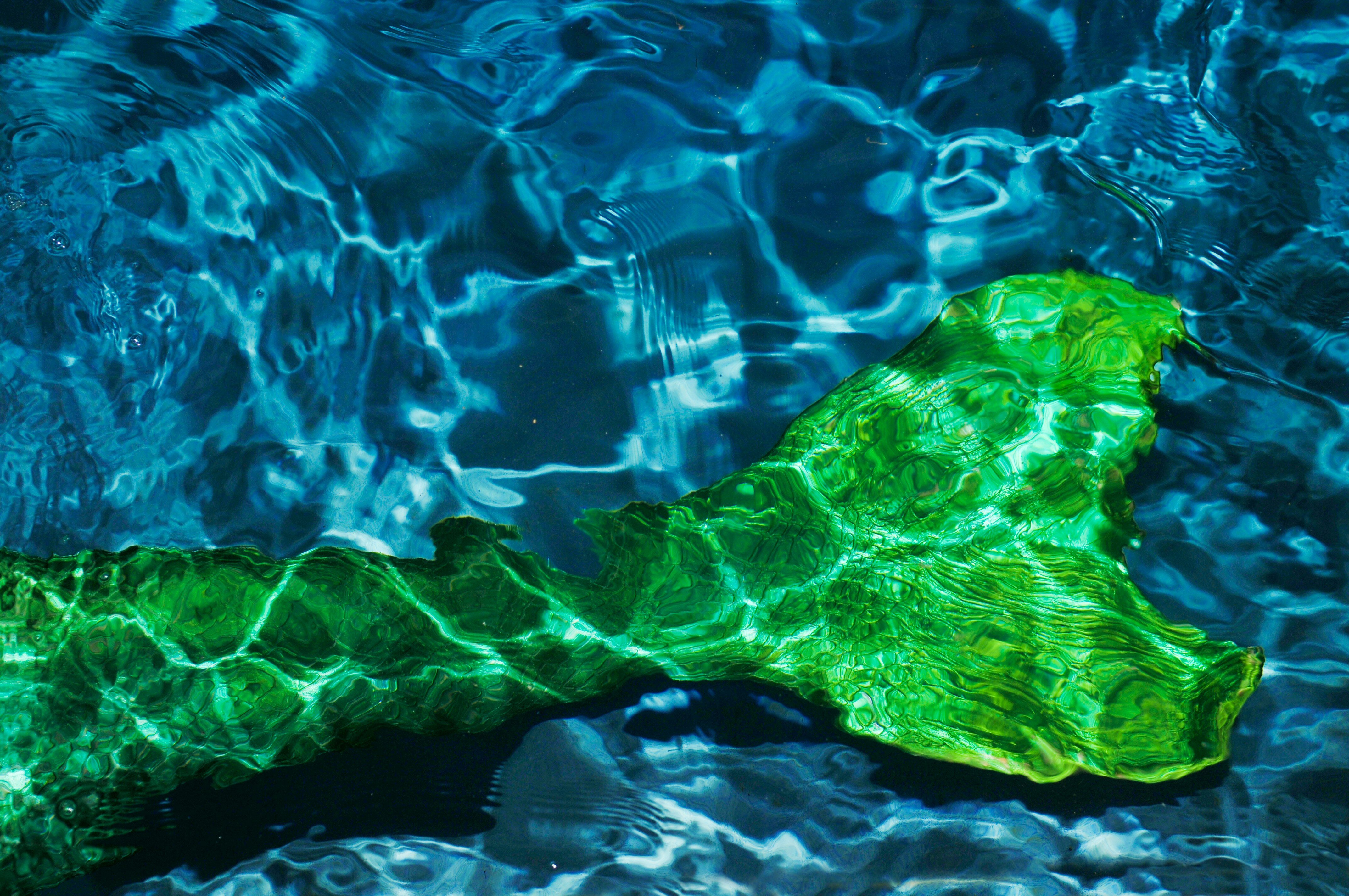annette-batista-day-op5zrC8iaDQ-unsplash-1