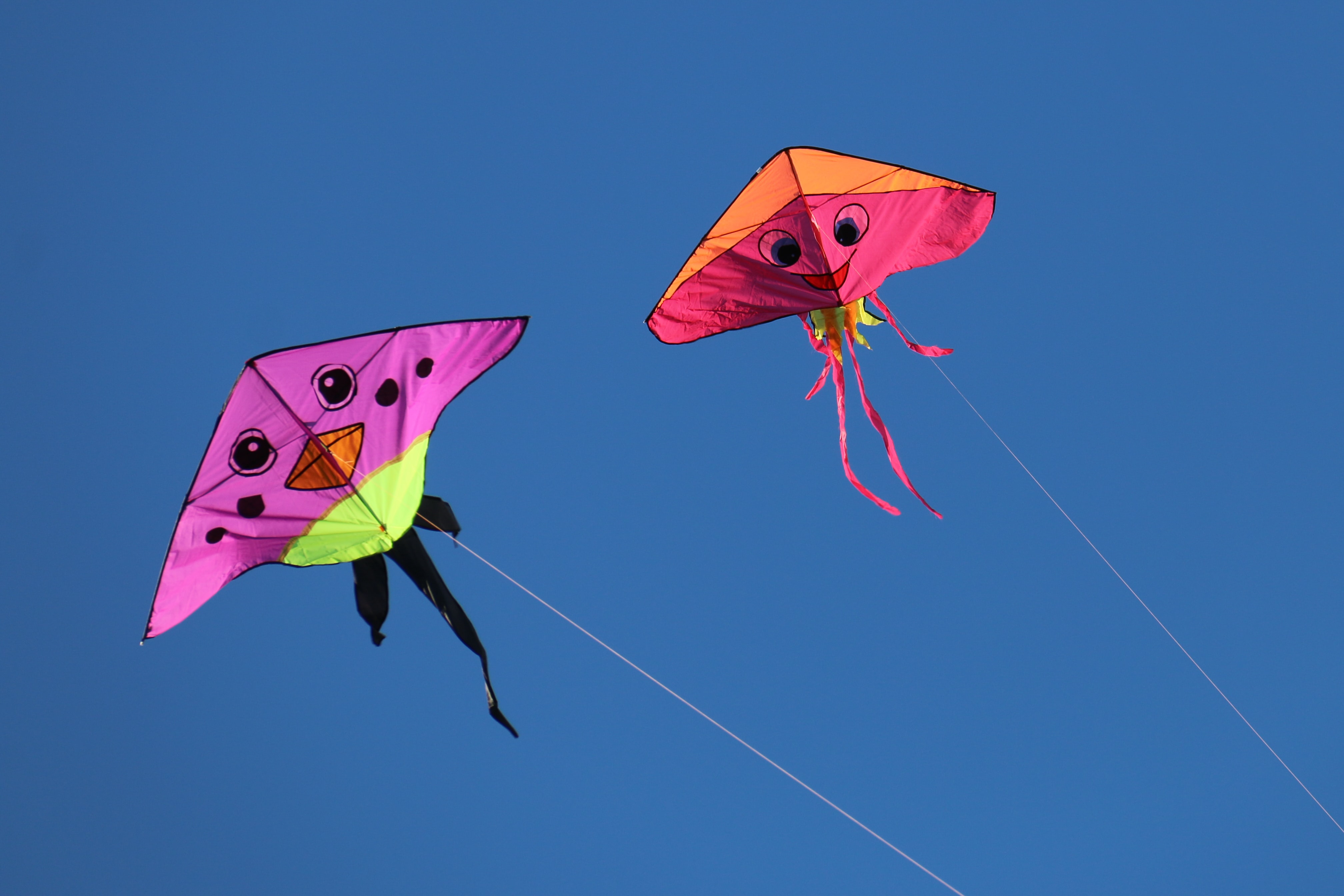 bill-fairs-8IkmJP3BONc-unsplash