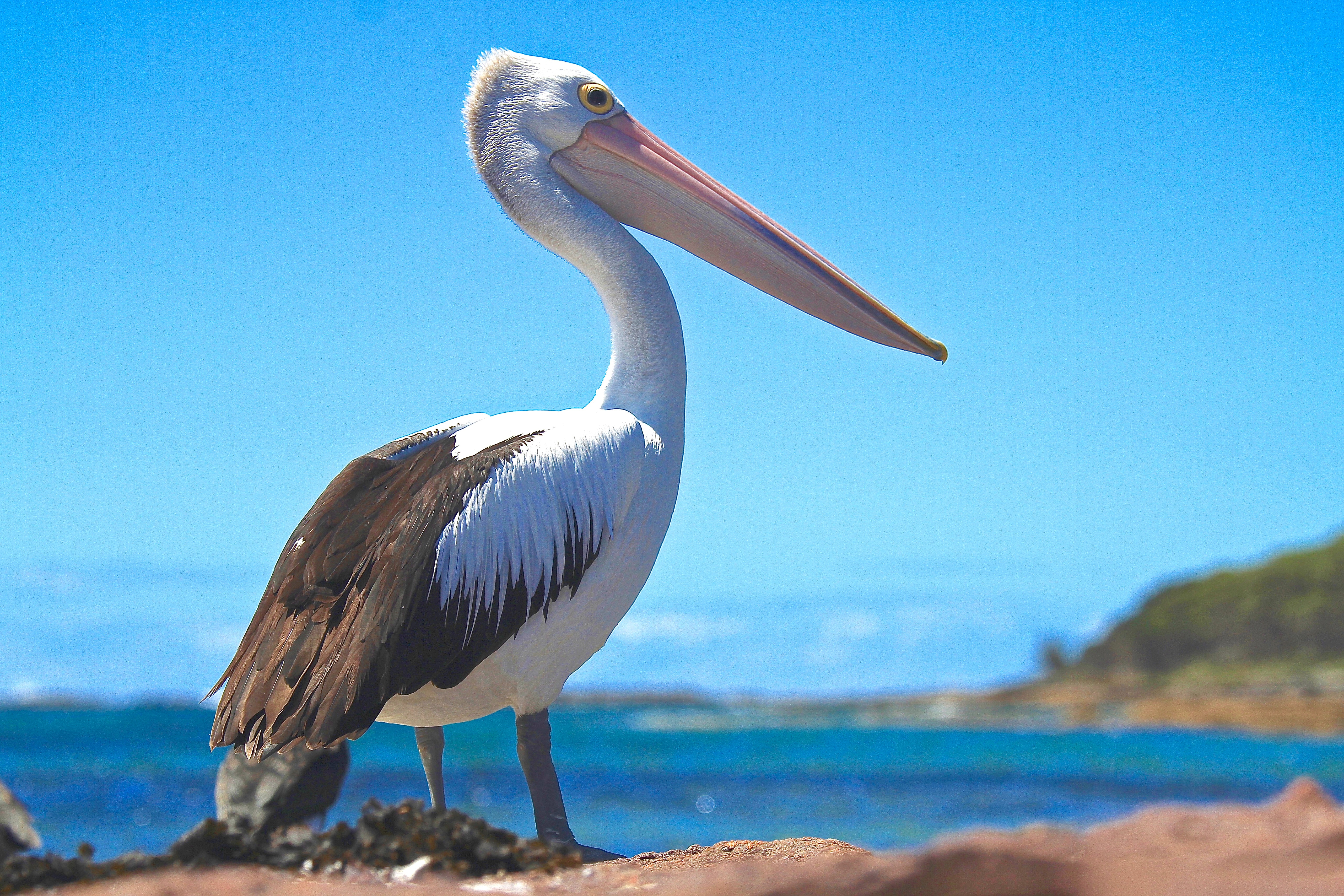 james-wainscoat-fjtNb-lQW9U-unsplash