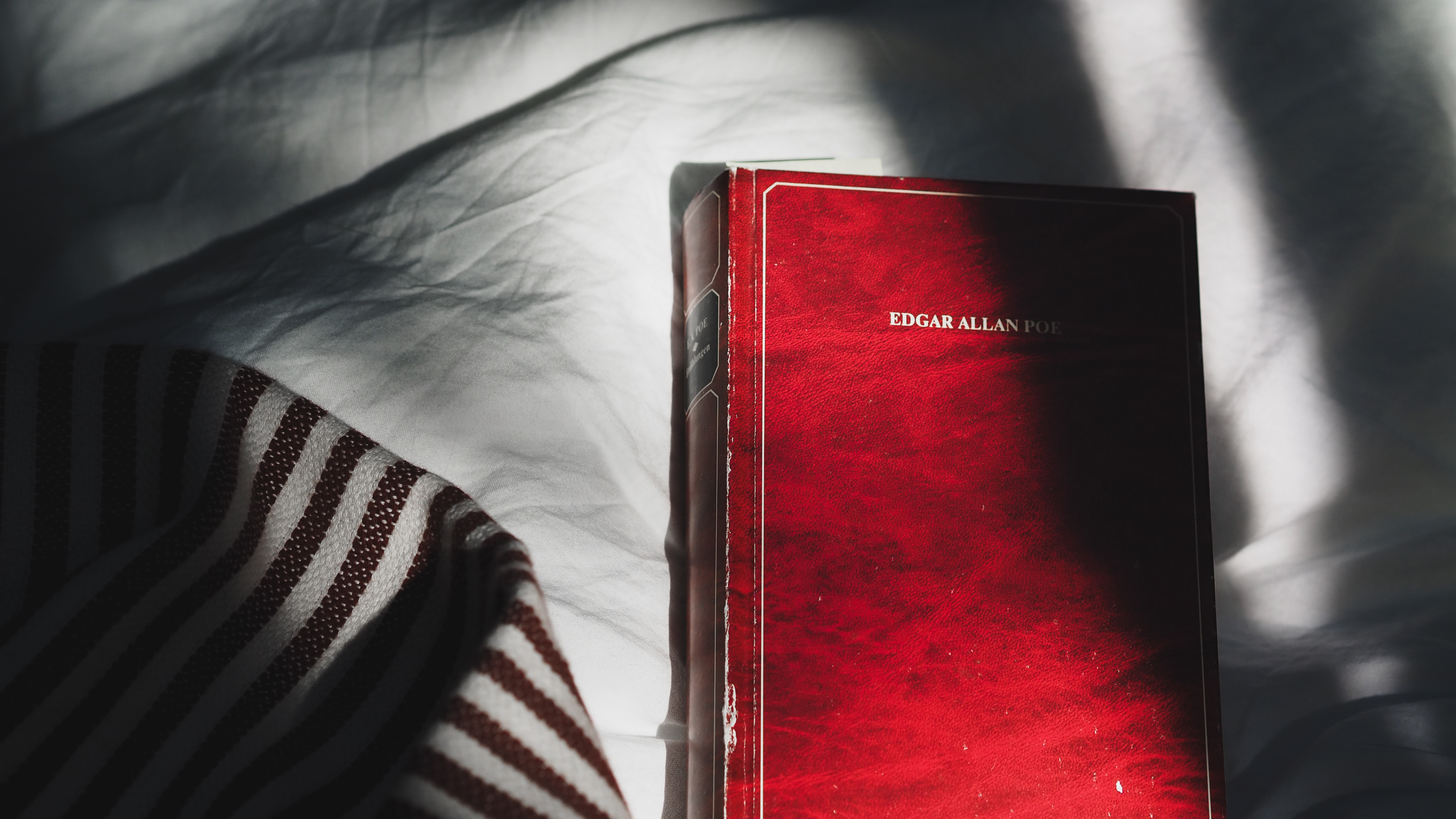 laura-chouette-QMxbFLYvEfg-unsplash