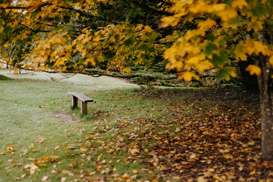 premium_photo-1729782893043-d8869ac3ae2b