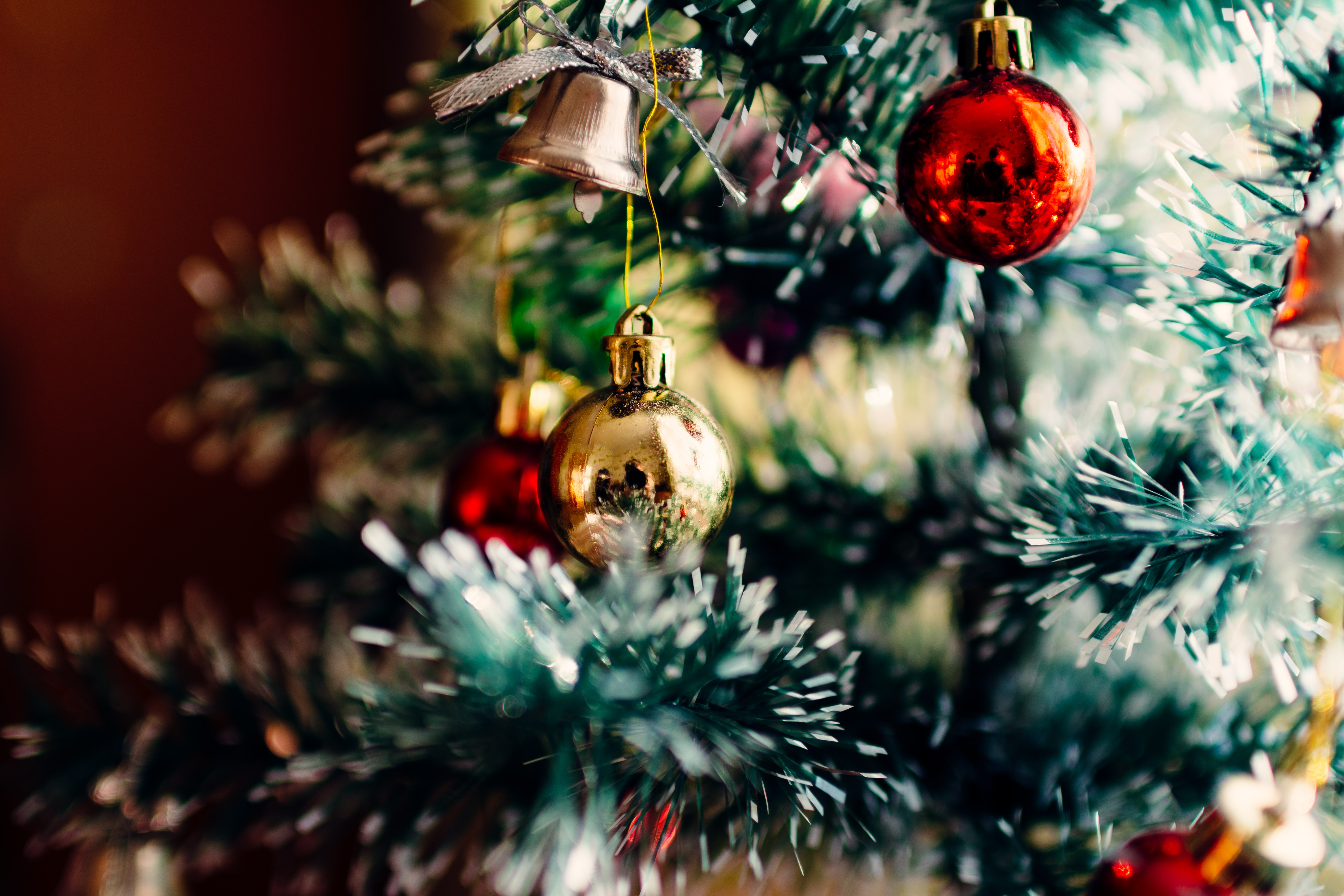 rodion-kutsaev-ySNkCkdKyTY-unsplash-1