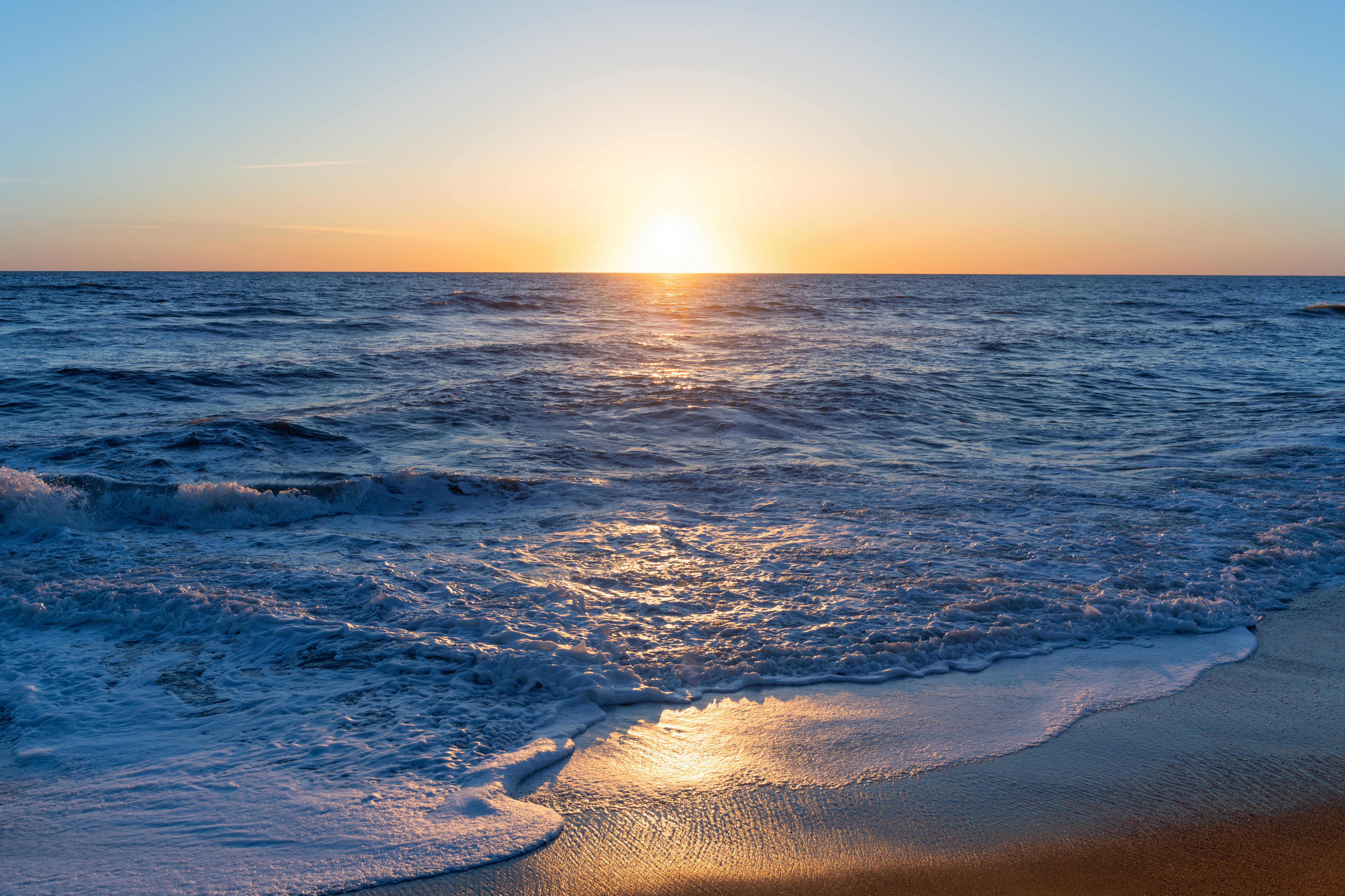 srini-somanchi-ftPaIcjcnBI-unsplash (2)