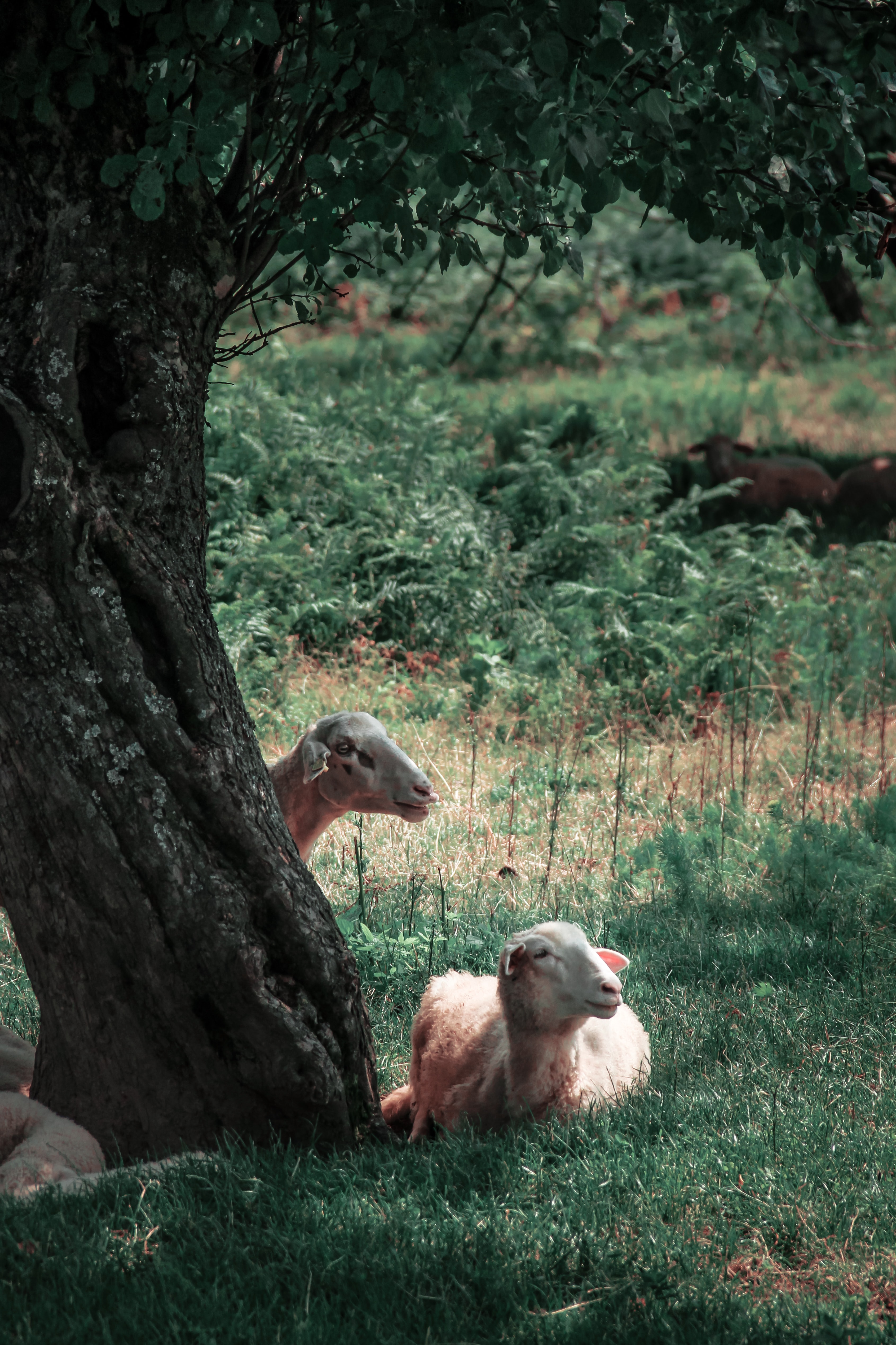 valentin-salja-L4dqh6e_LYE-unsplash